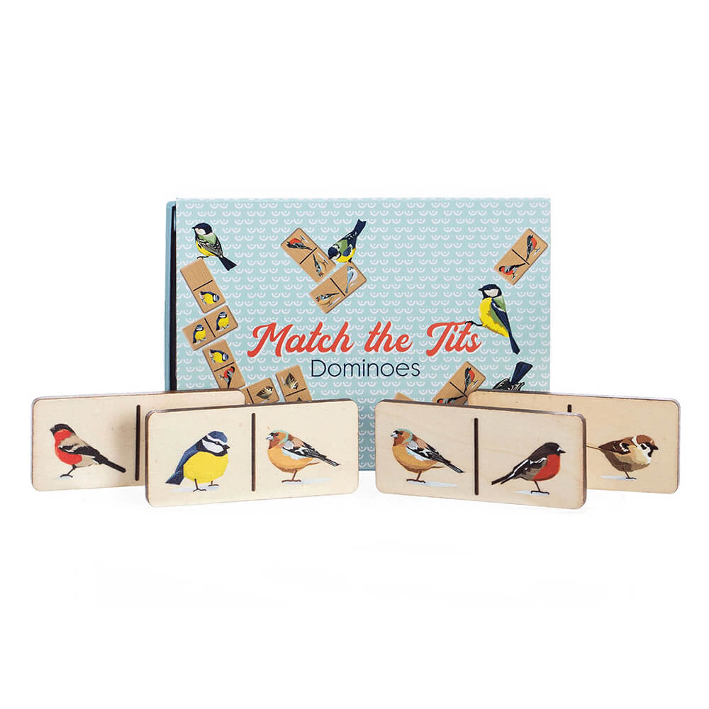 環境にやさしいデカールの木製ドミノ