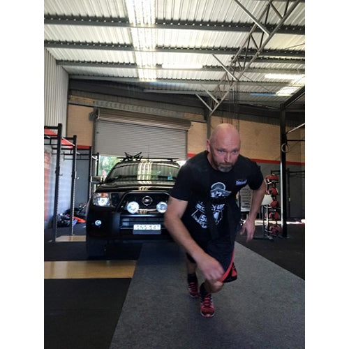 Morgan Elite H-Harness