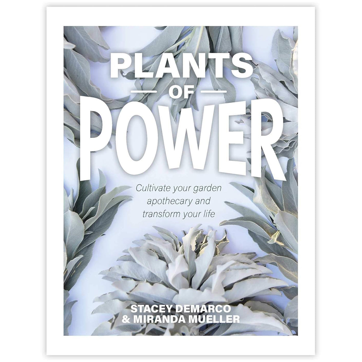 Plants of Power: Garden Apothecary Guide